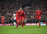 雷火电竞入驻-尤文绝杀热刺，范戴克扑点救主德甲