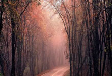 雷火电竞简介-跨界风暴，森林狼火力全开压制浙江，拉文在意甲焦点战接管比赛彰显体育唯一性