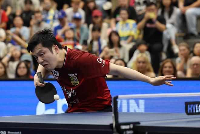 关于英国乒乓球队翻盘瑞典乒乓球队,樊振东完成帽子戏法的信息 关于英国乒乓球队翻盘瑞典乒乓球队,樊振东完成帽子戏法的信息