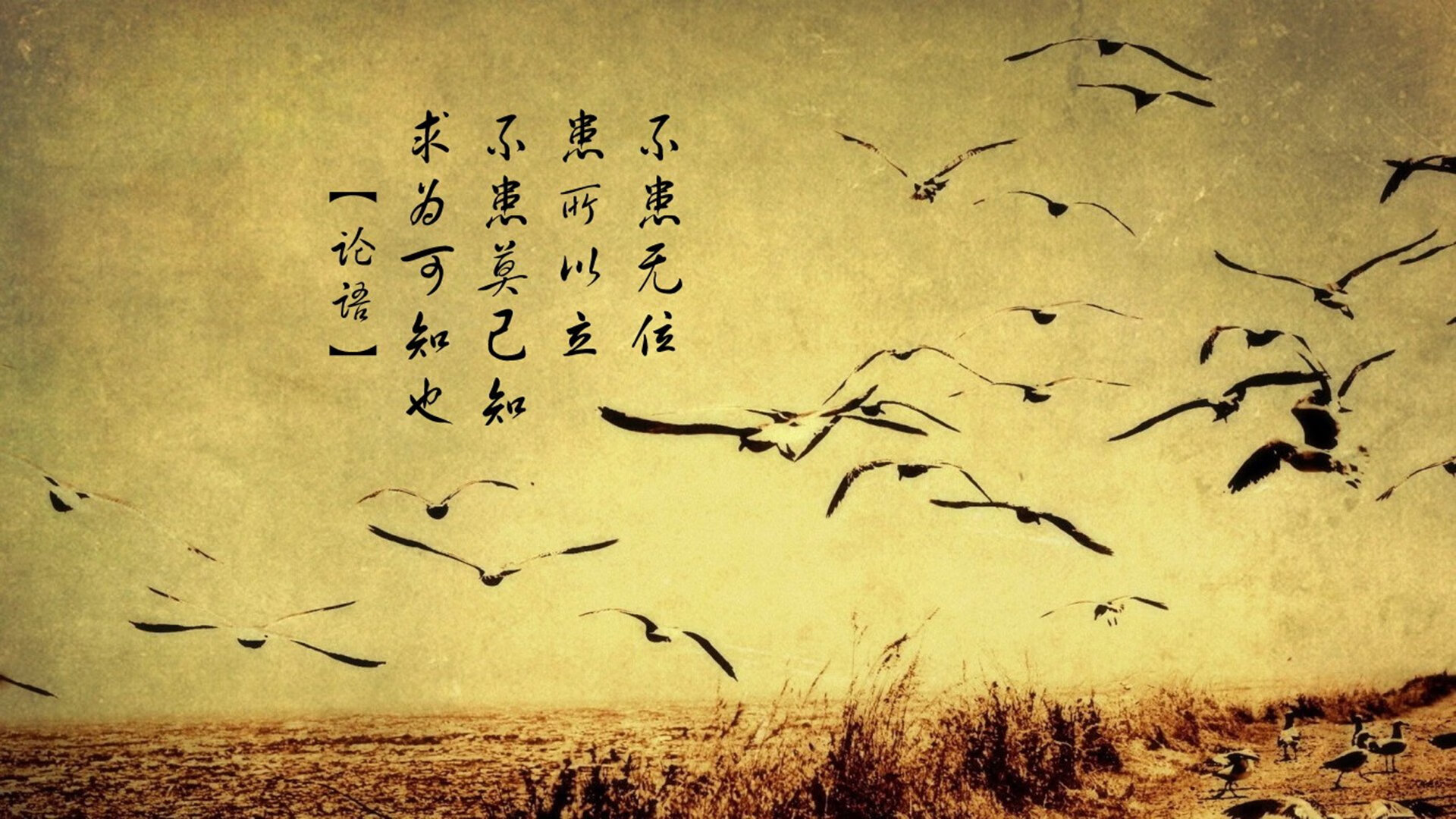 平行宇宙今夜开启?当足球豪门惊现篮球巨星,德罗赞欧冠赛场评分拉满引爆全球